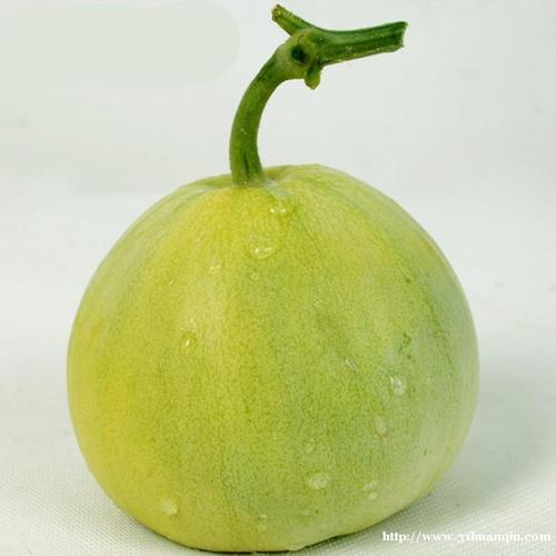 【供应】上饶市起航商贸销售纯天然新鲜水果 甜瓜 香瓜有机绿宝