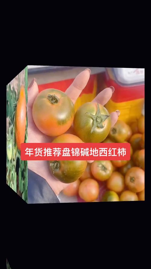 西红柿 原生态水果 健康食品 口感特别好 粉丝一千万