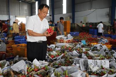 “一带一路”沿线国家农产品进京 丰富北京“菜篮子”